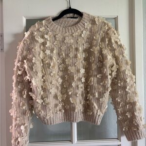 Zara Beige Floral Embellished Sweater